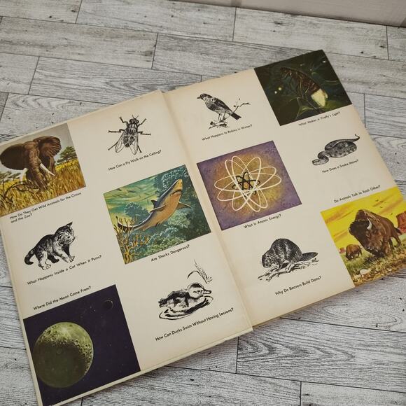 The Answer Book 300 Questions Children Ask Most Often - Mary Elting HC Book 1963 - Picture 2 of 15